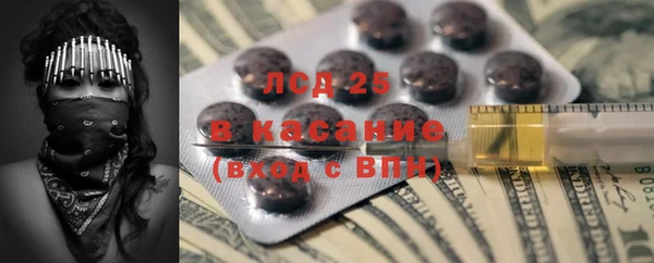 эйфоретик Аркадак