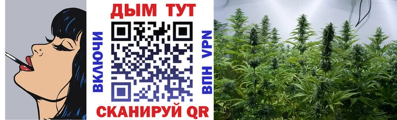 Шишки марихуана планчик  МЕГА вход  Кыштым 